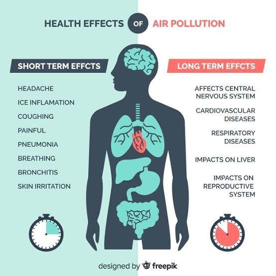 6 Important Tests to Monitor Your Health During Pollution Season Health During Pollution Season